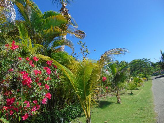 Land in Cabarete, Dominican Republic, 874 sq.m - picture 1