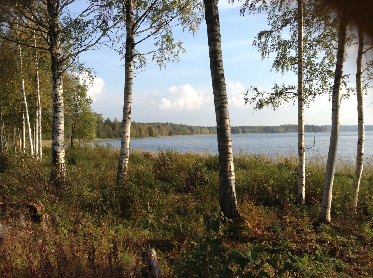 Land in Simpele, Finland, 9 100 sq.m - picture 1