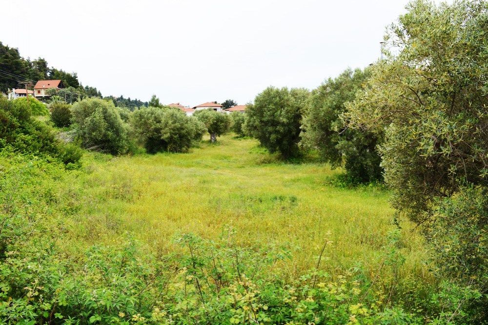 Land in Kassandra, Greece, 880 sq.m - picture 1