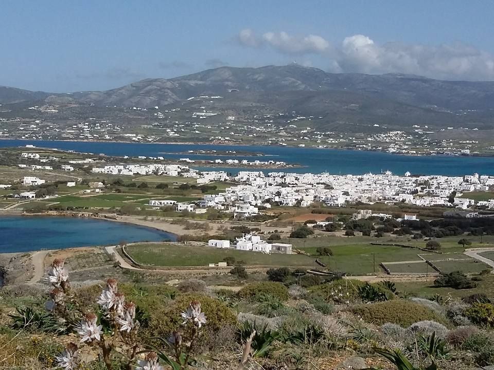 Land on Cyclades, Greece, 42 000 sq.m - picture 1