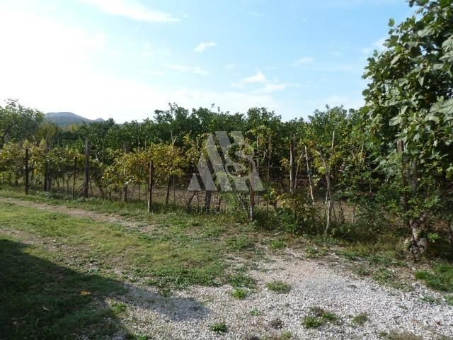 Land in Bar, Montenegro, 789 sq.m - picture 1