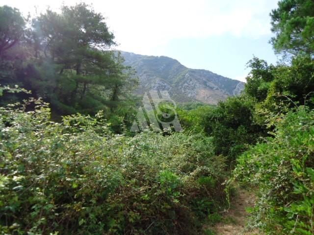 Land in Prcanj, Montenegro, 3 000 sq.m - picture 1