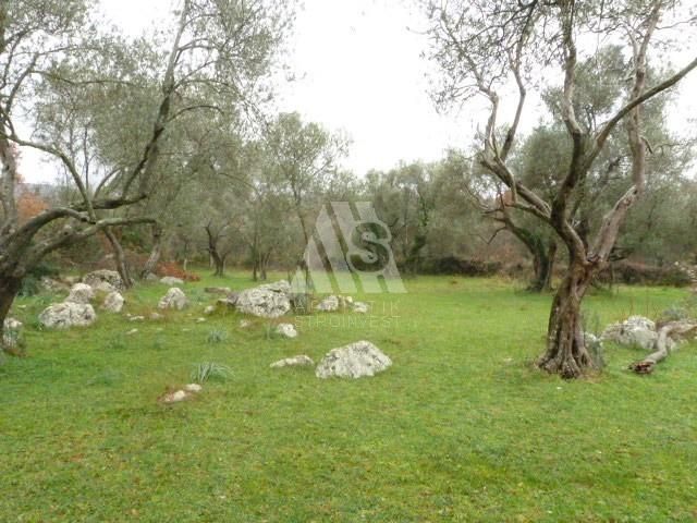 Land in Utjeha, Montenegro, 3 300 sq.m - picture 1