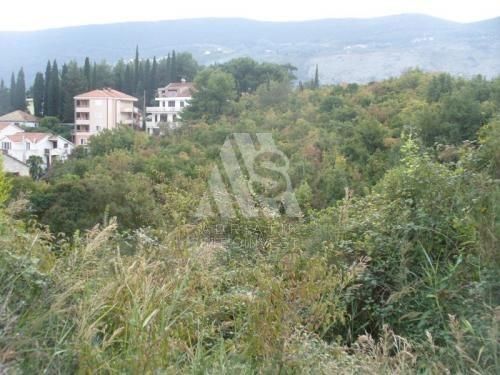 Land in Igalo, Montenegro, 7 160 sq.m - picture 1