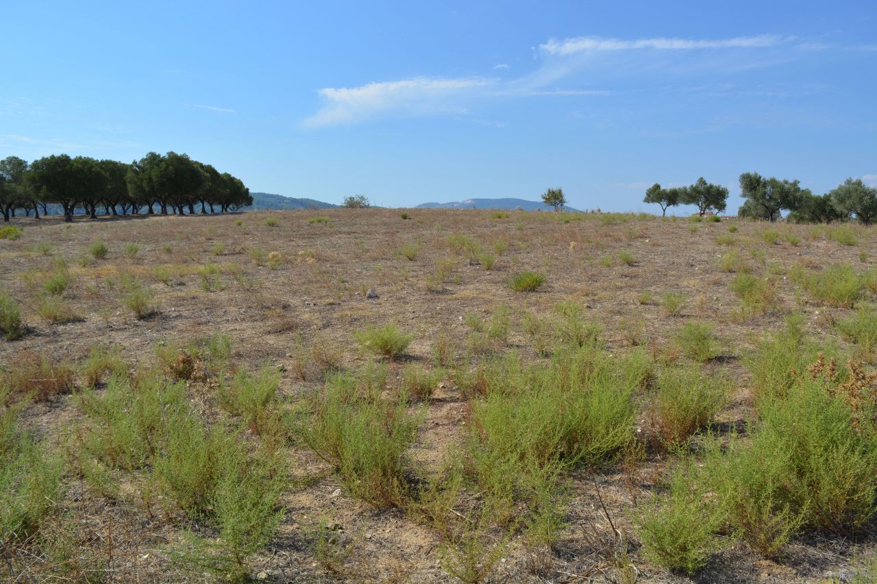 Land in Sithonia, Greece, 9 500 sq.m - picture 1