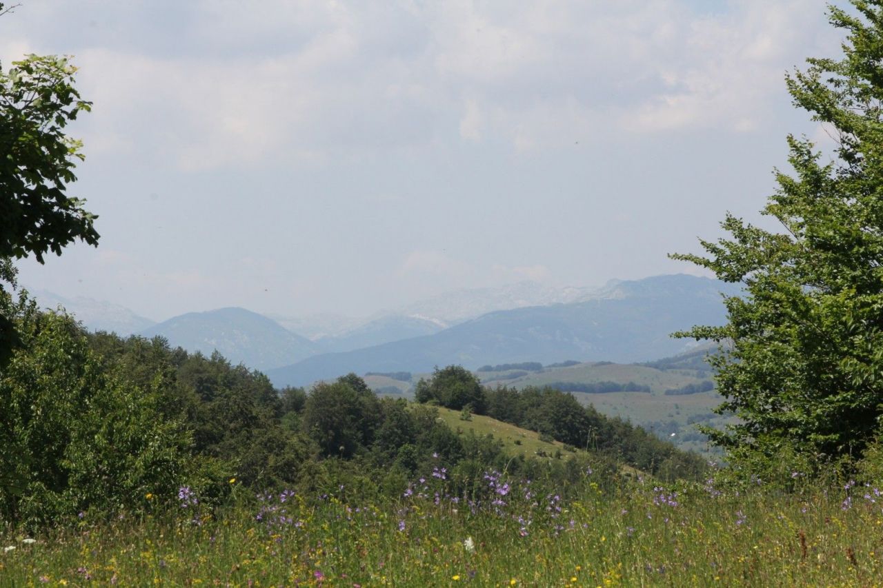 Land in Zabljak, Montenegro, 60 000 sq.m - picture 1