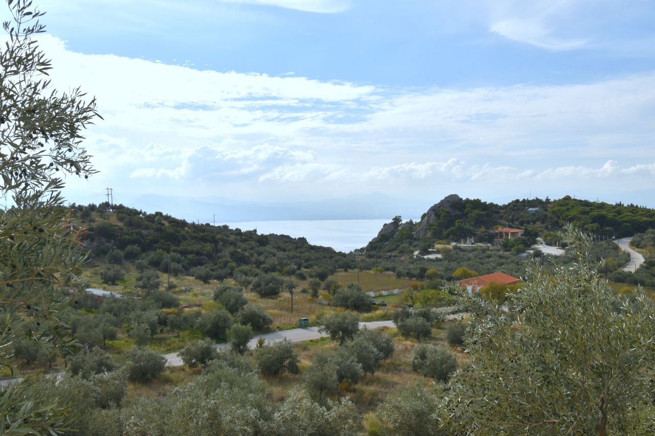 Land in Loutraki, Greece, 6 000 sq.m - picture 1
