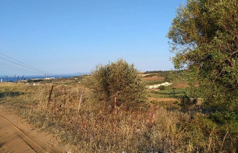 Land in Kassandra, Greece, 4 000 sq.m - picture 1