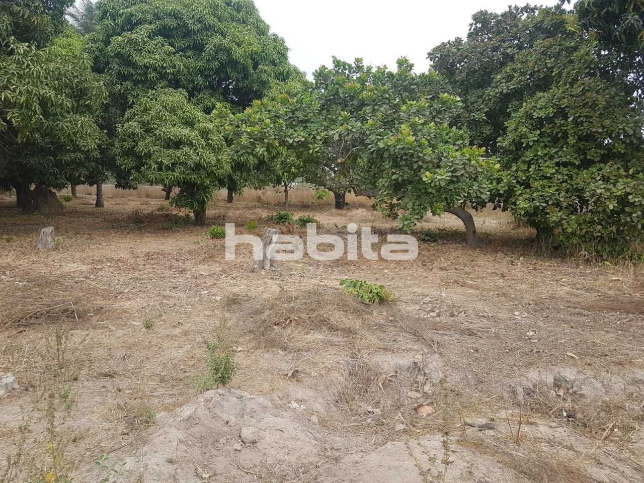 Land Tujering, Gambia, 2 520 sq.m - picture 1