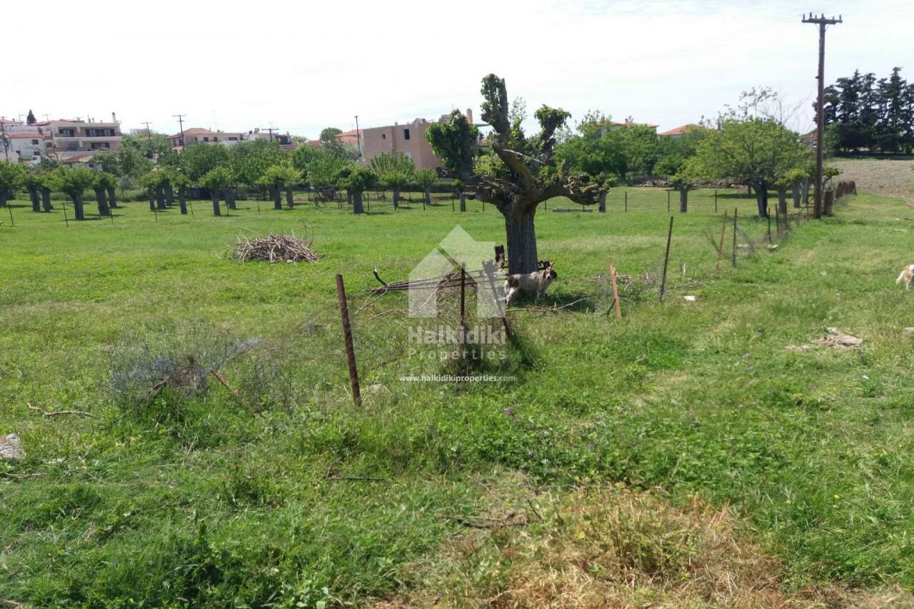 Land in Kassandra, Greece, 750 sq.m - picture 1