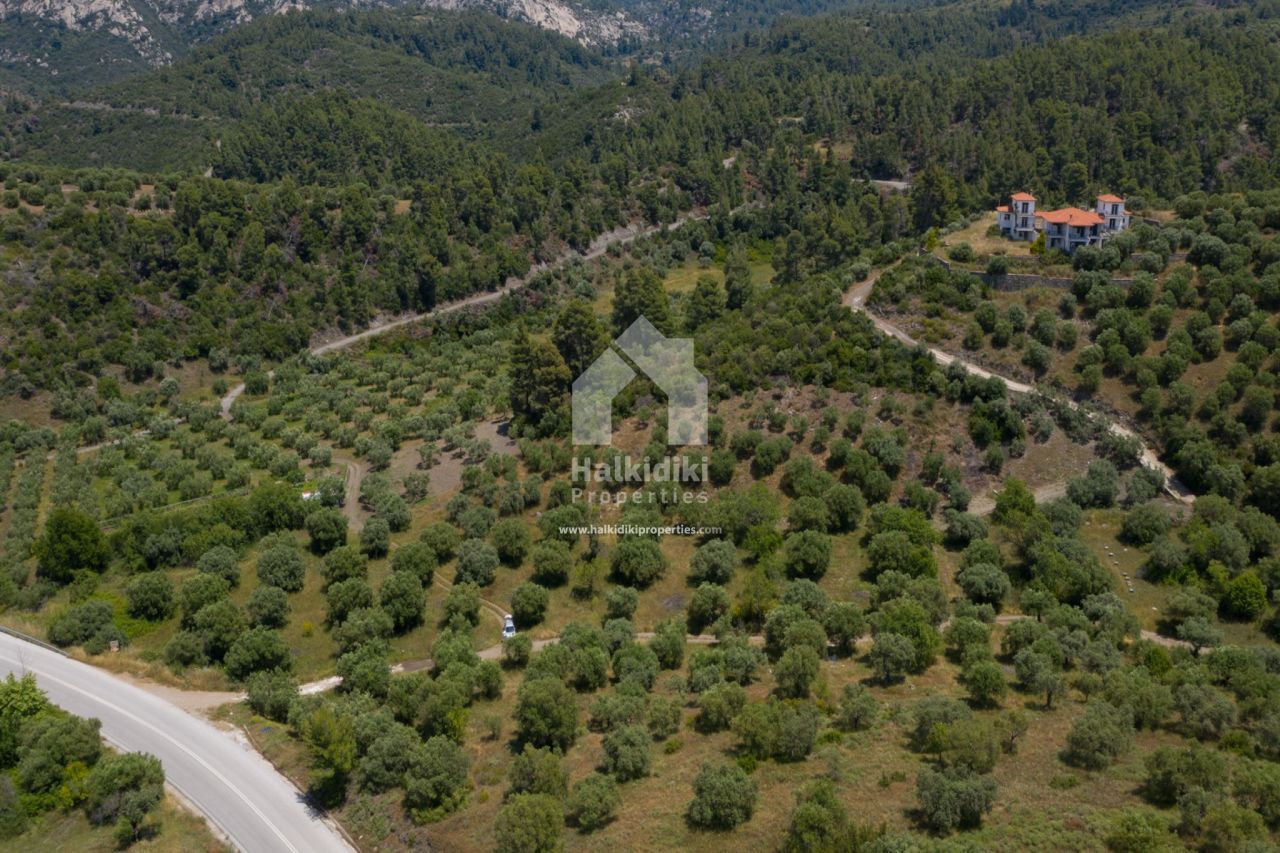 Land in Sithonia, Greece, 10 500 sq.m - picture 1
