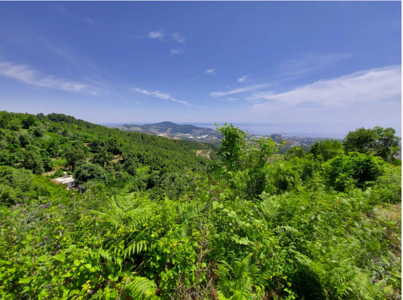 Land in Alanya, Turkey, 48 335 sq.m - picture 1