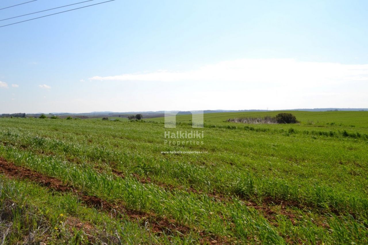 Land in Kassandra, Greece, 3 380 sq.m - picture 1