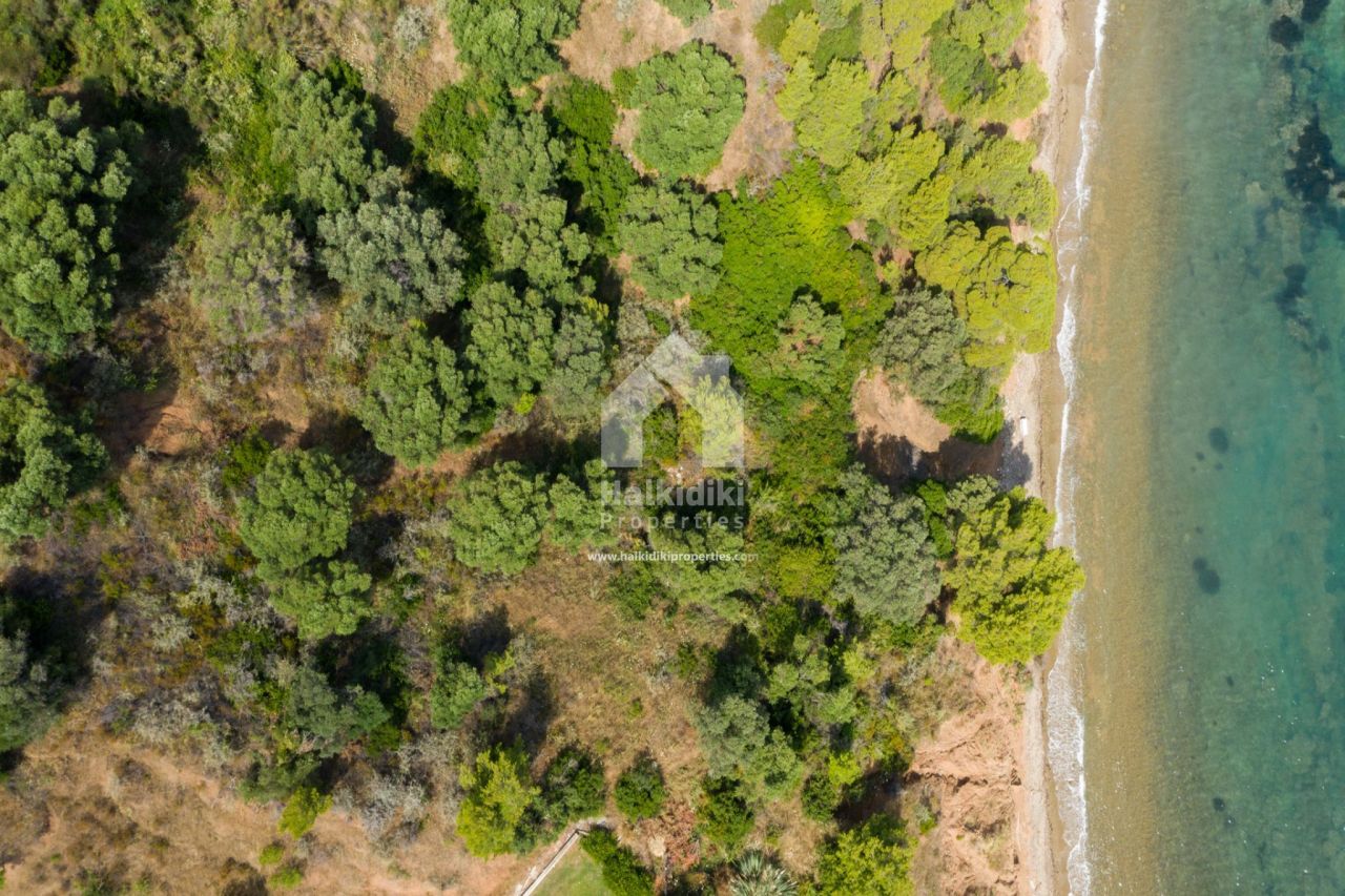 Land in Kassandra, Greece, 9 750 sq.m - picture 1