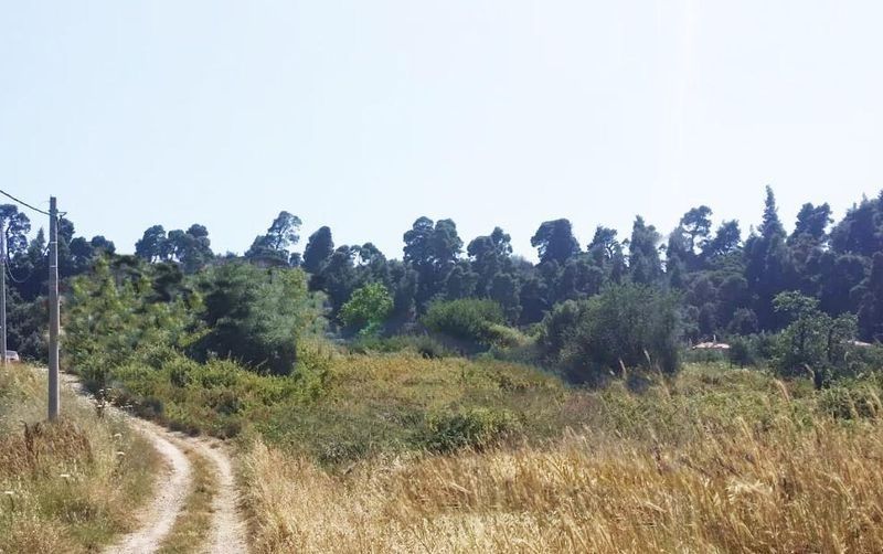 Land in Kassandra, Greece, 375 sq.m - picture 1