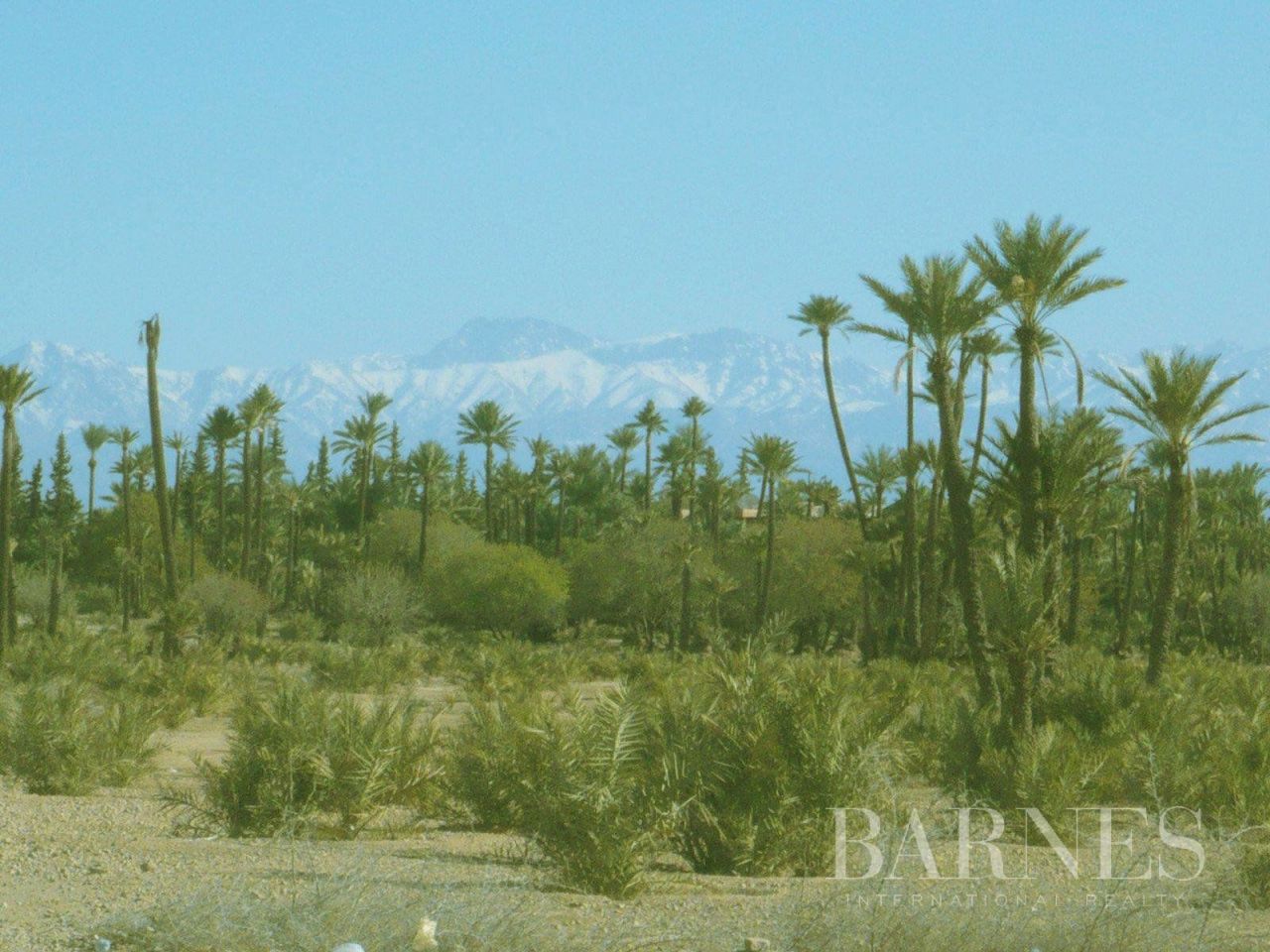 Land in Marrakesh, Morocco - picture 1