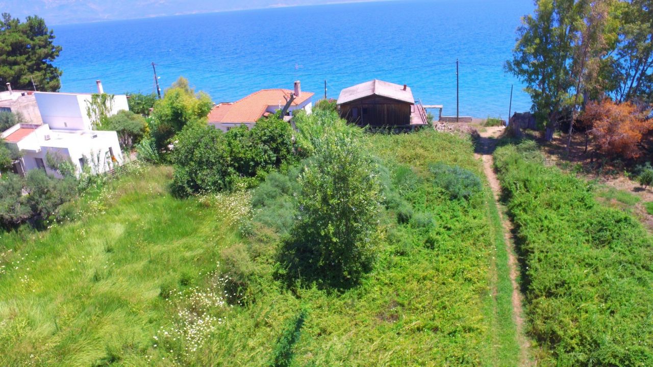 Land in Achaea, Greece, 2 500 sq.m - picture 1