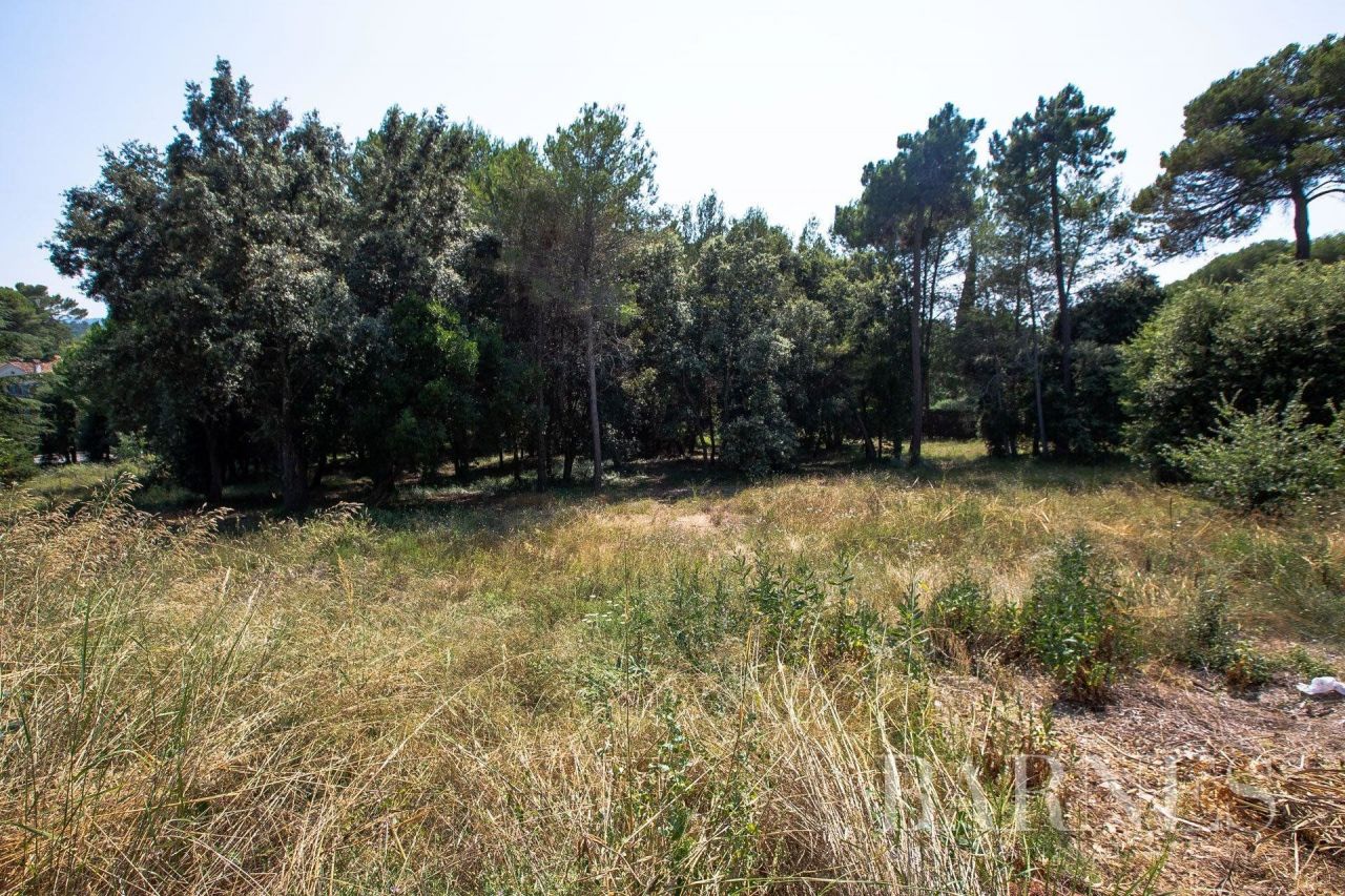 Land in Biot, France, 6 843 sq.m - picture 1
