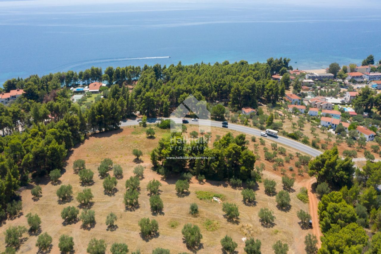 Terrain en Sithonie, Grèce, 9 000 m2 - image 1