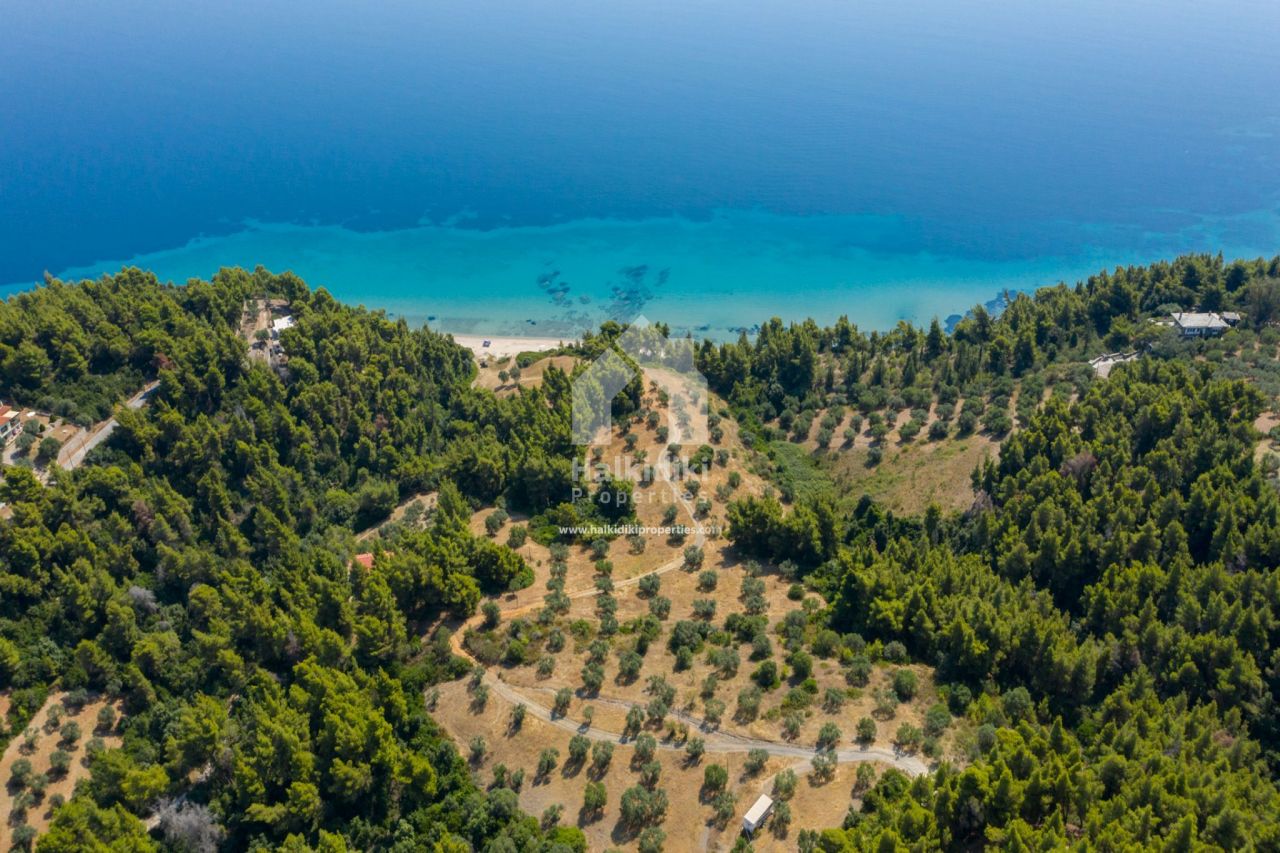 Grundstück in Sithonia, Griechenland, 18 000 m2 - Foto 1