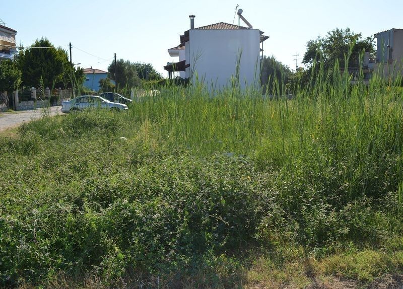 Land in Chalkidiki, Greece, 420 sq.m - picture 1