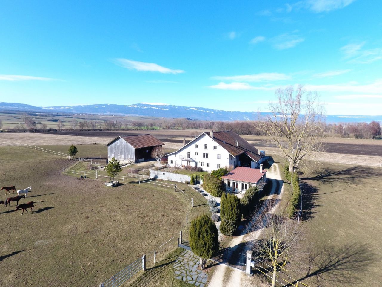 House Bavois, Switzerland, 573 sq.m - picture 1