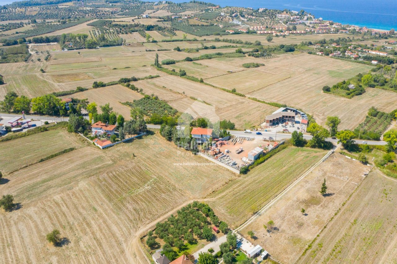 Land in Kassandra, Greece, 11 300 sq.m - picture 1