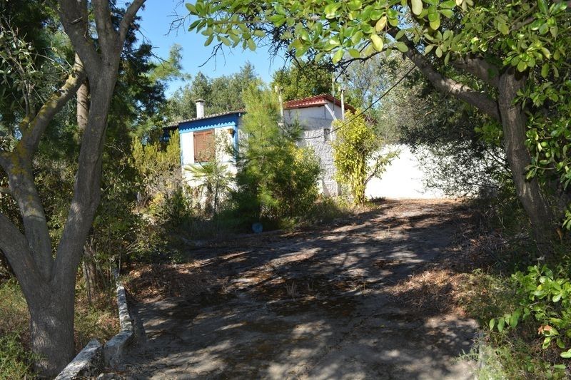 House in Chalkidiki, Greece, 60 sq.m - picture 1