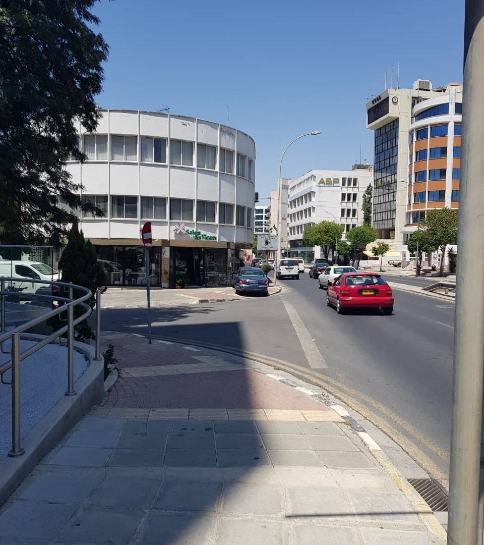 Commercial property in Nicosia, Cyprus, 700 sq.m - picture 1