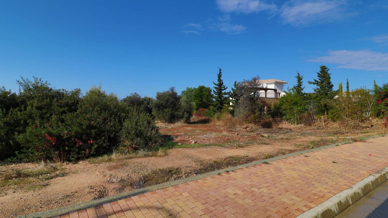 Land in Paphos, Cyprus, 1 371 sq.m - picture 1