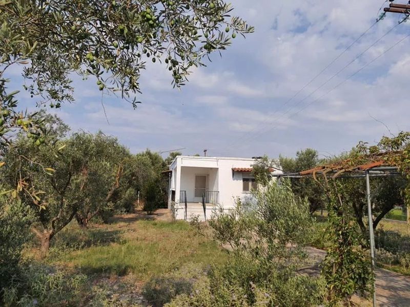 Haus in Chalkidiki, Griechenland, 63 m2 - Foto 1
