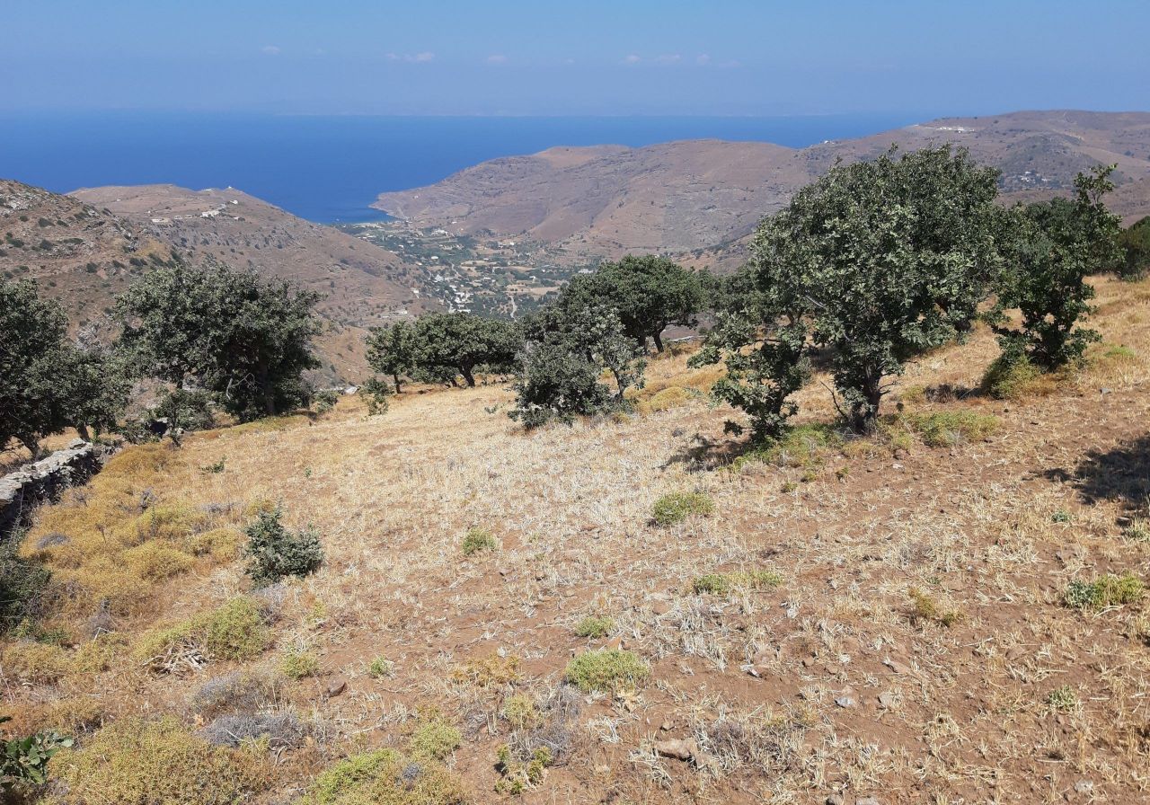 Land on Kea, Greece, 9 925 sq.m - picture 1