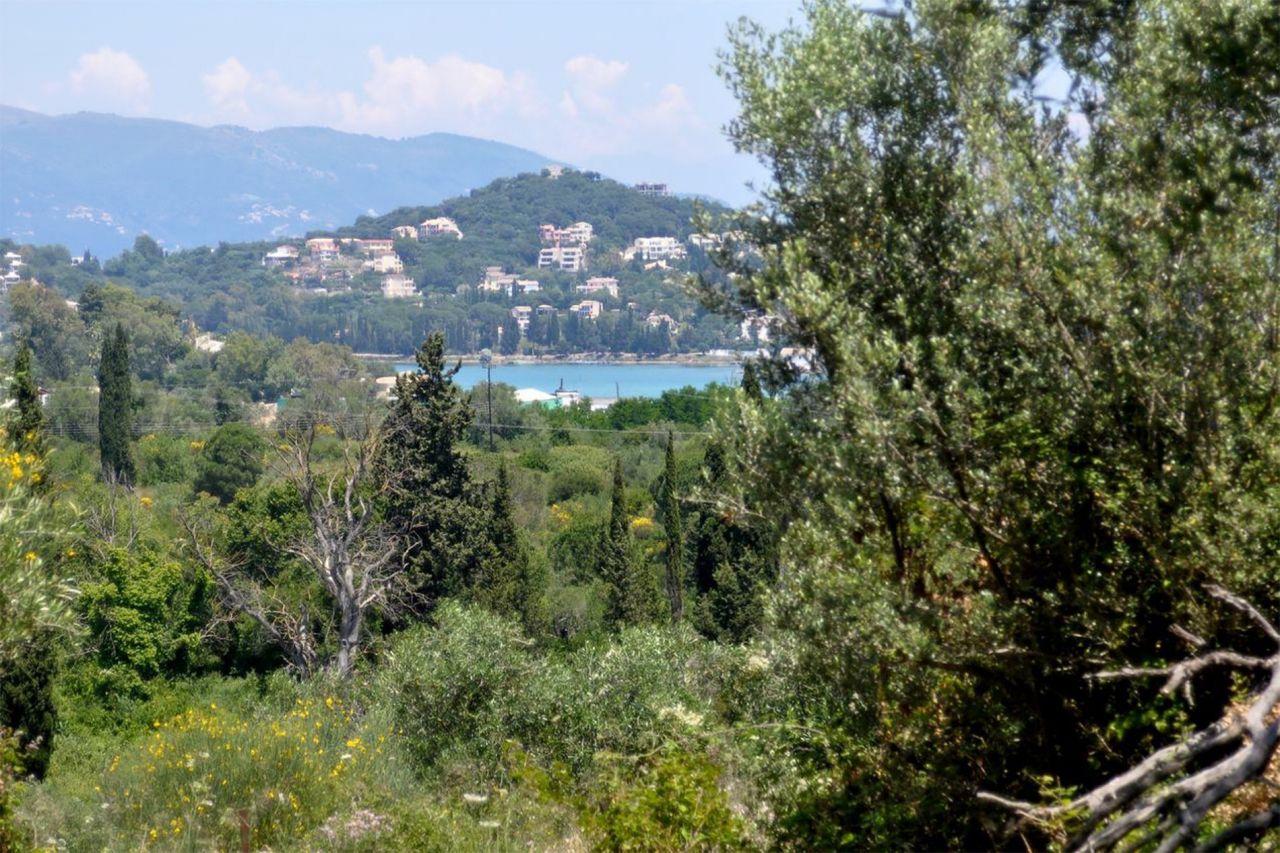 Land in Corfu, Greece, 4 483 sq.m - picture 1