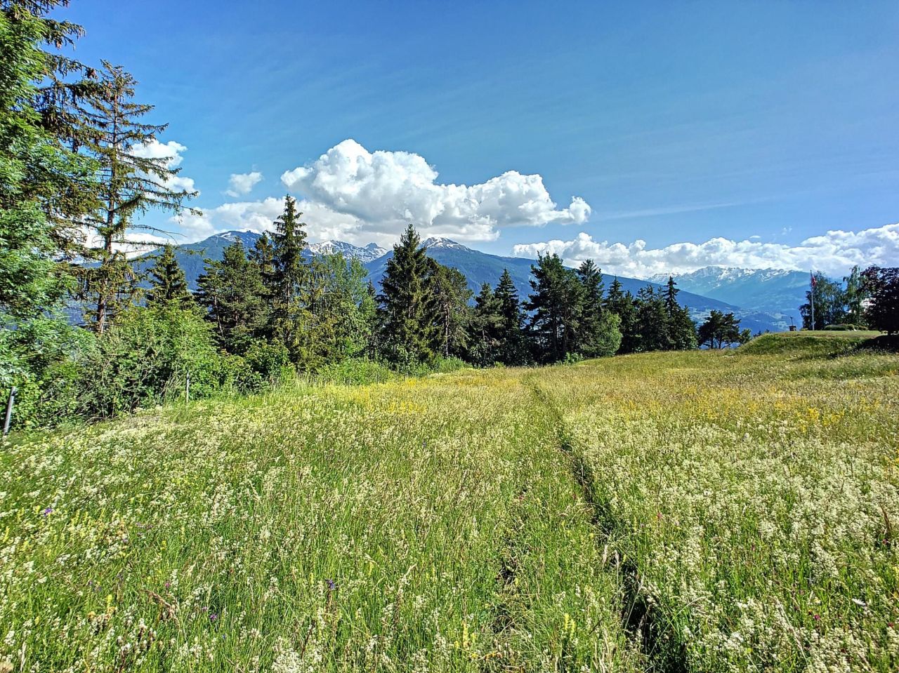 Land in Crans-Montana, Switzerland, 3 113 sq.m - picture 1