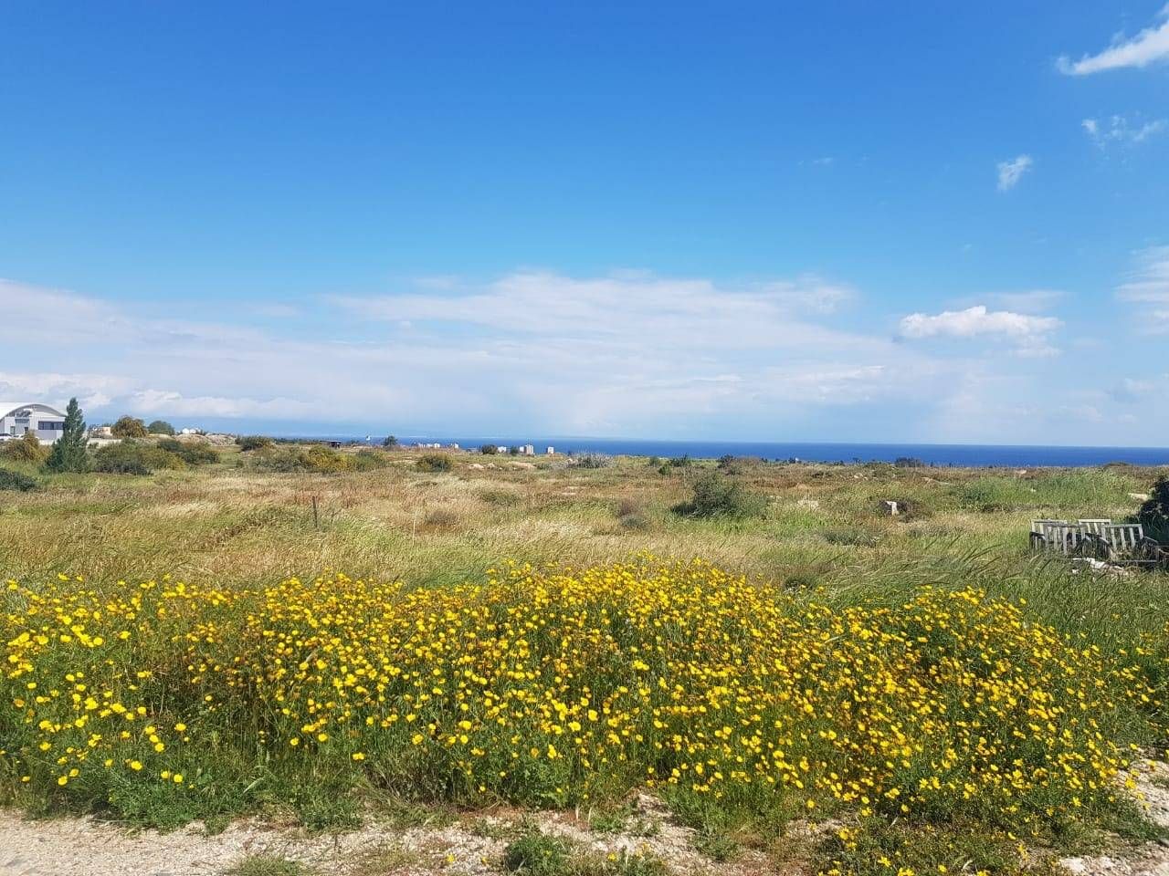 Grundstück in Protaras, Zypern, 5 950 m2 - Foto 1