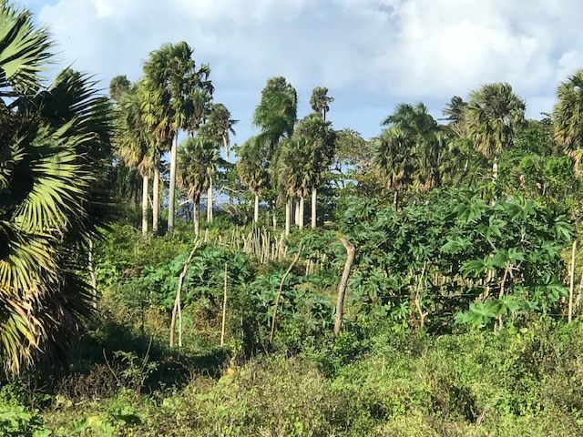 Land in Cabarete, Dominican Republic, 500 sq.m - picture 1