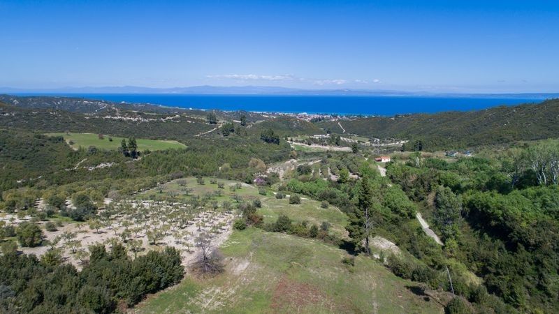 Land in Kassandra, Greece, 6 000 sq.m - picture 1