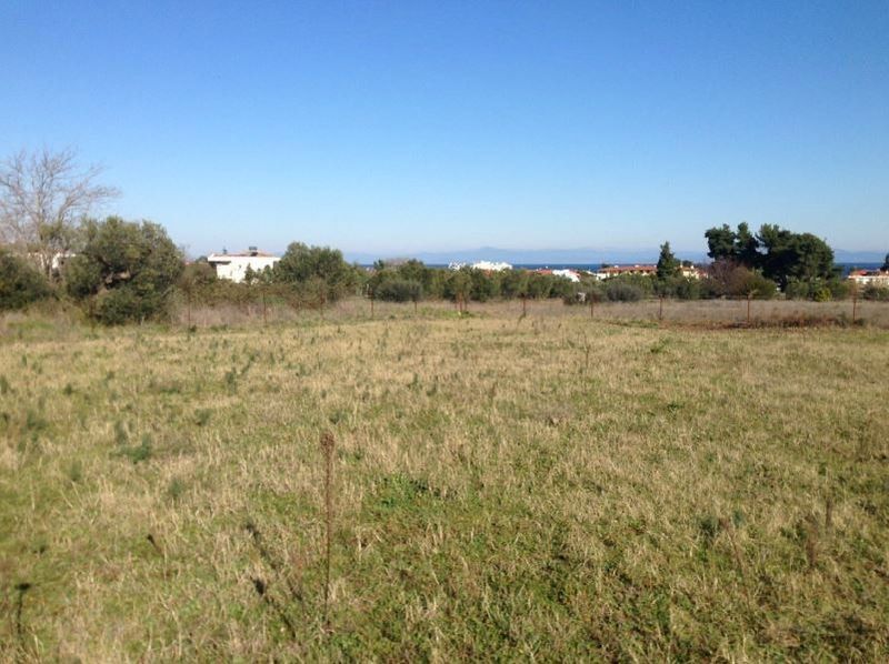 Land in Kassandra, Greece, 4 155 sq.m - picture 1