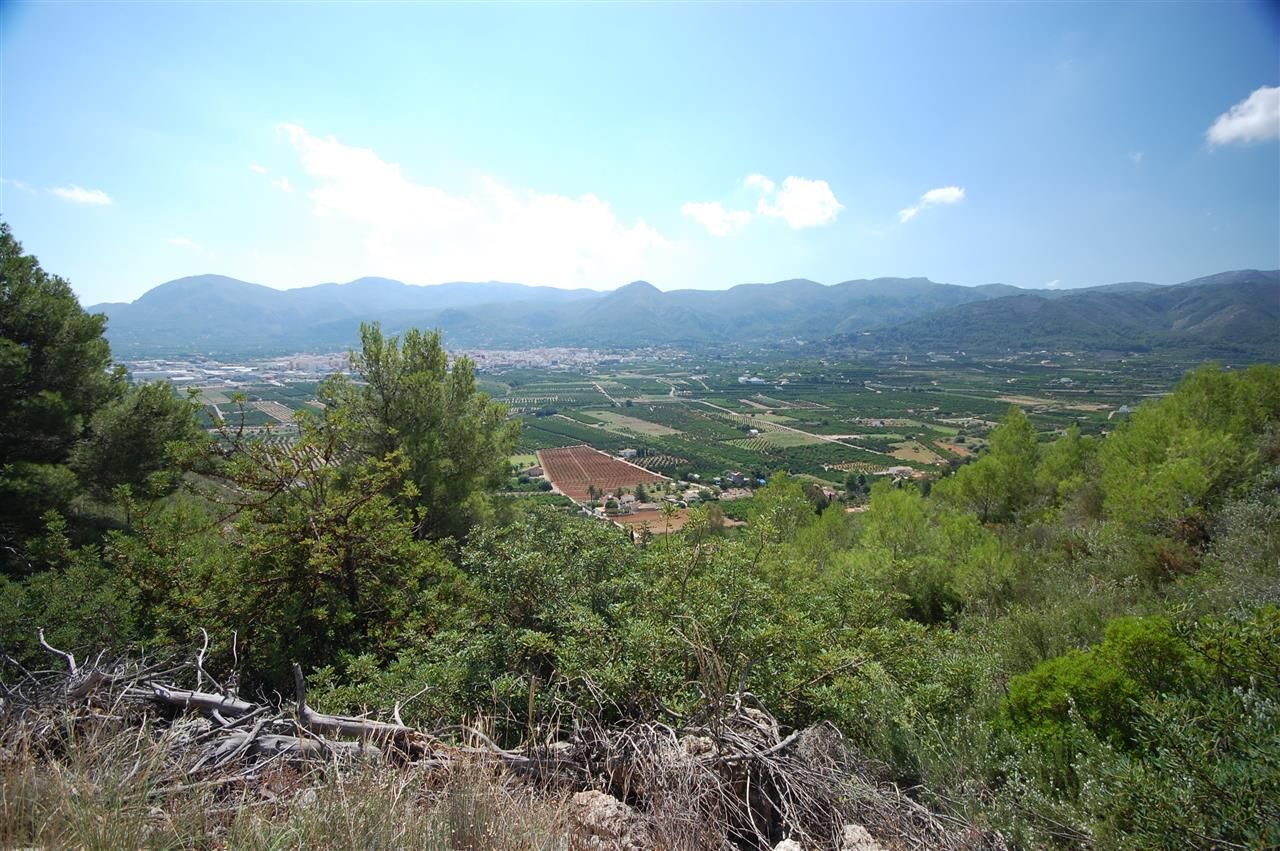 Land in Pego, Spain, 1 200 sq.m - picture 1