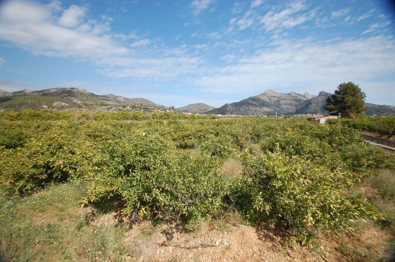 Land in Sagra, Spain, 10 500 sq.m - picture 1