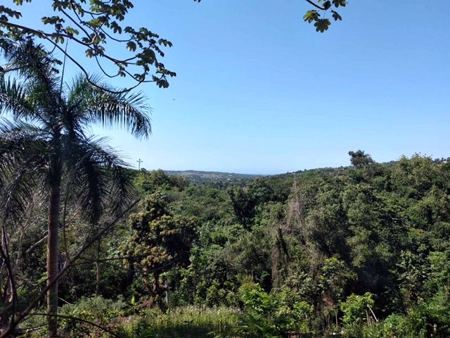 Land in Sosua, Dominican Republic, 159 000 sq.m - picture 1