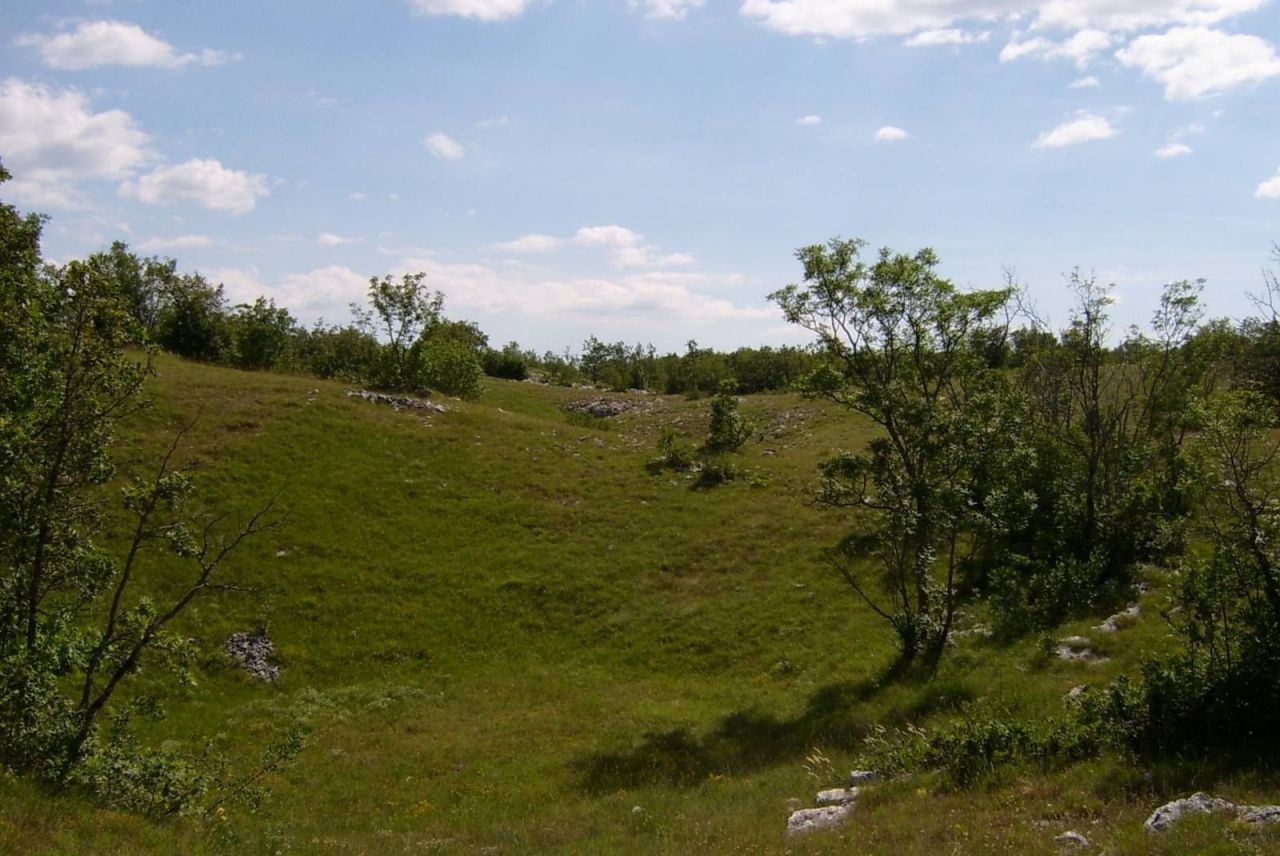 Land in Niksic, Montenegro, 1 550 558 sq.m - picture 1