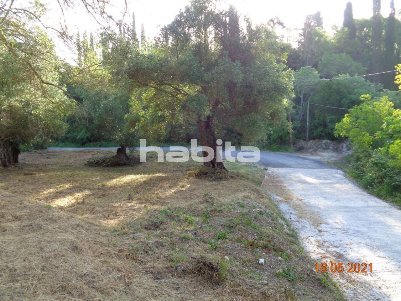 Land in Corfu, Greece, 3 376 sq.m - picture 1