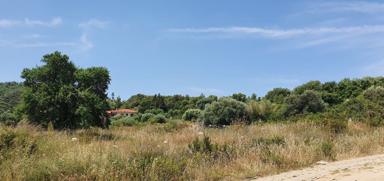 Land in Chalkidiki, Greece, 3 567 sq.m - picture 1