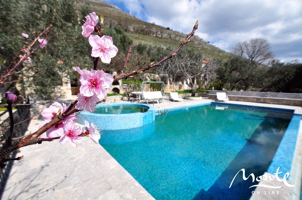 Villa in Rezevici, Montenegro, 480 sq.m - picture 1