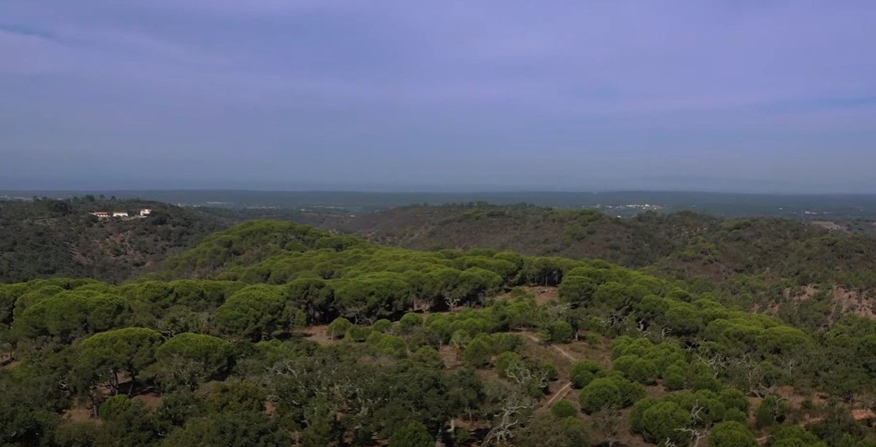 Terreno en Setúbal, Portugal, 529 800 m2 - imagen 1