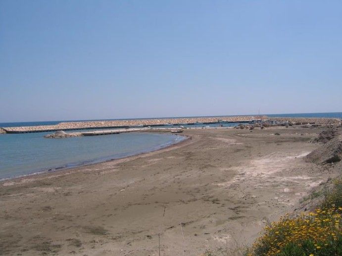 Land in Larnaca, Cyprus, 7 358 sq.m - picture 1