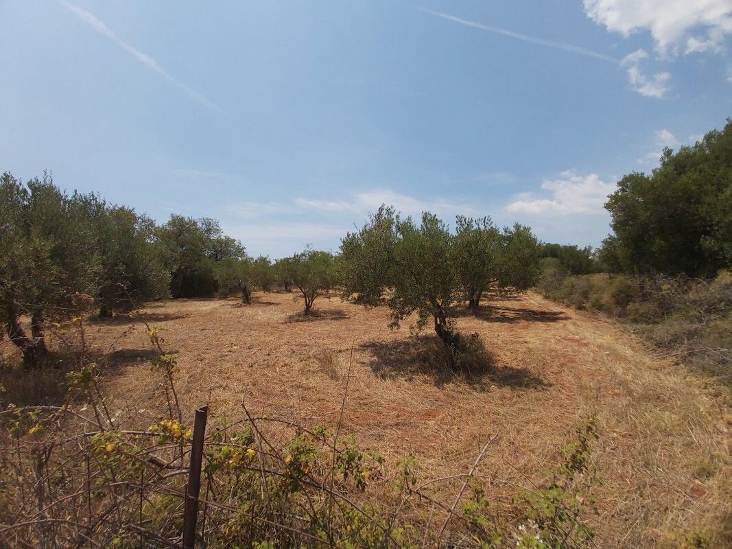 Land in Sithonia, Greece, 8 300 sq.m - picture 1
