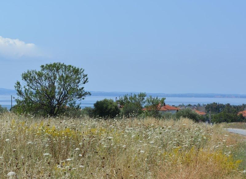 Grundstück in Sithonia, Griechenland, 1 895 m2 - Foto 1