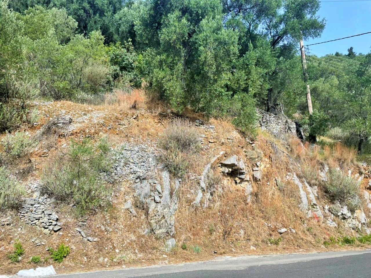 Land in Corfu, Greece, 728 sq.m - picture 1